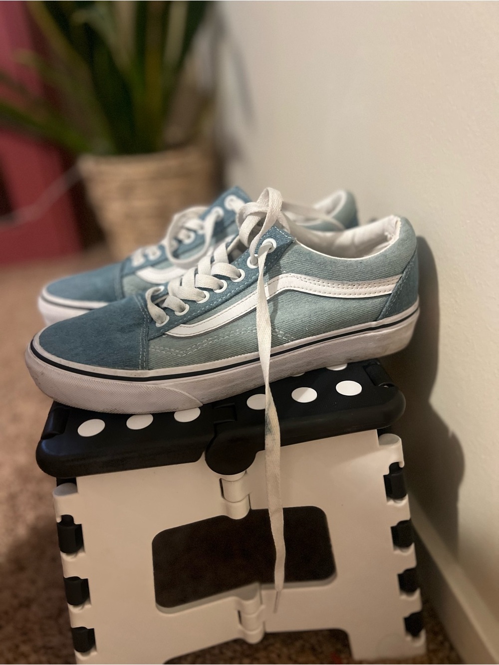 Vans Low-Top Sneakers in Light Blue and White